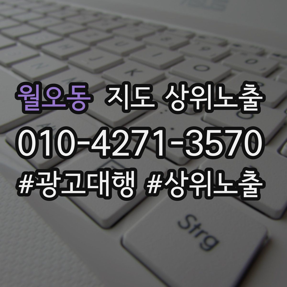 월오동 지도 상위 노출
