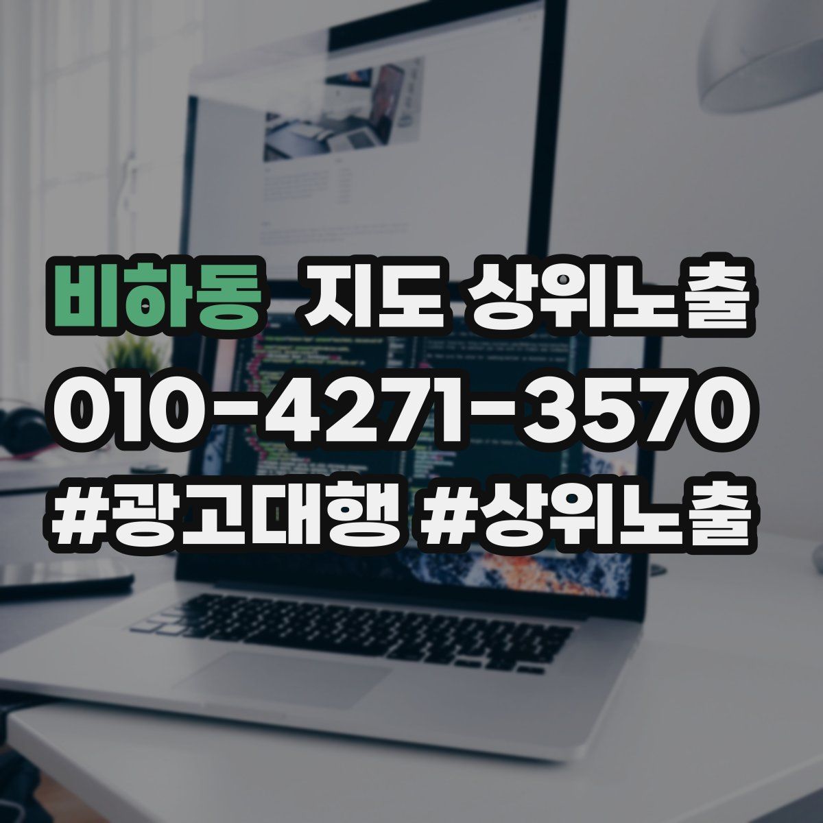 비하동 지도 상위 노출