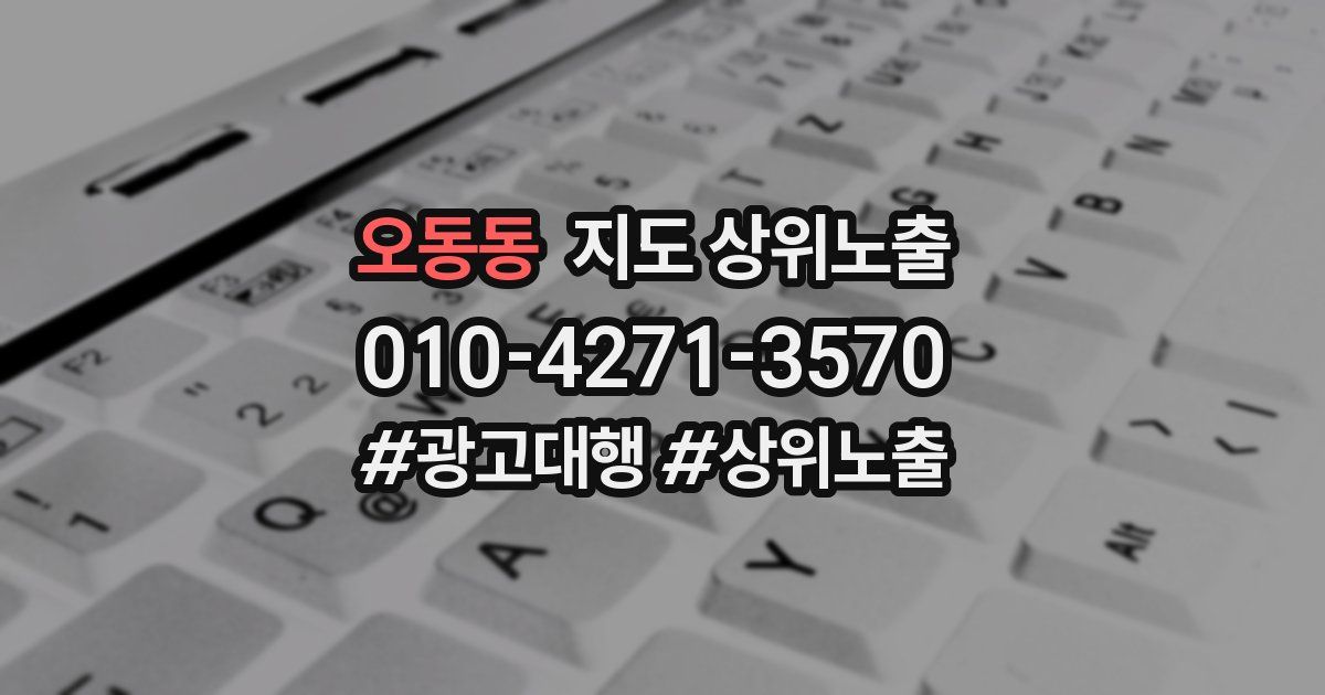오동동 지도 상위 노출
