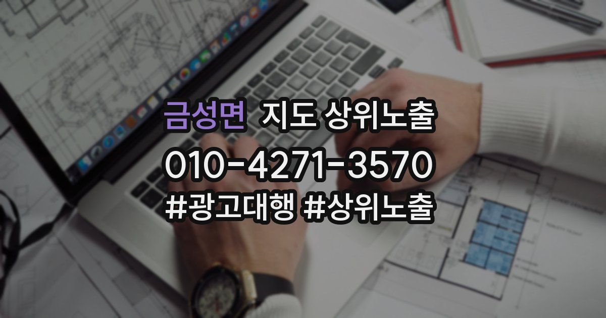 금성면 지도 상위 노출
