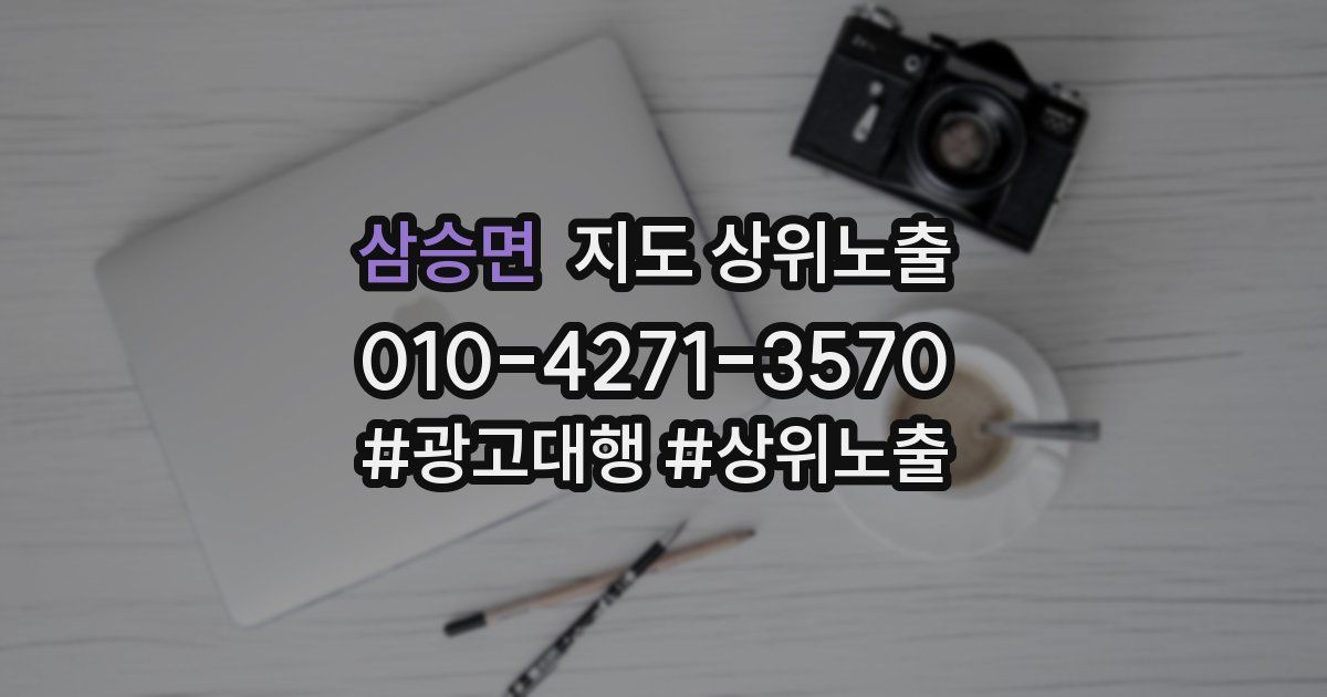 삼승면 지도 상위 노출