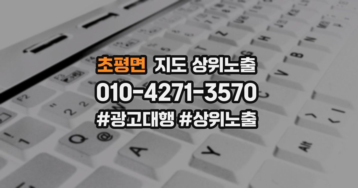 초평면 지도 상위 노출