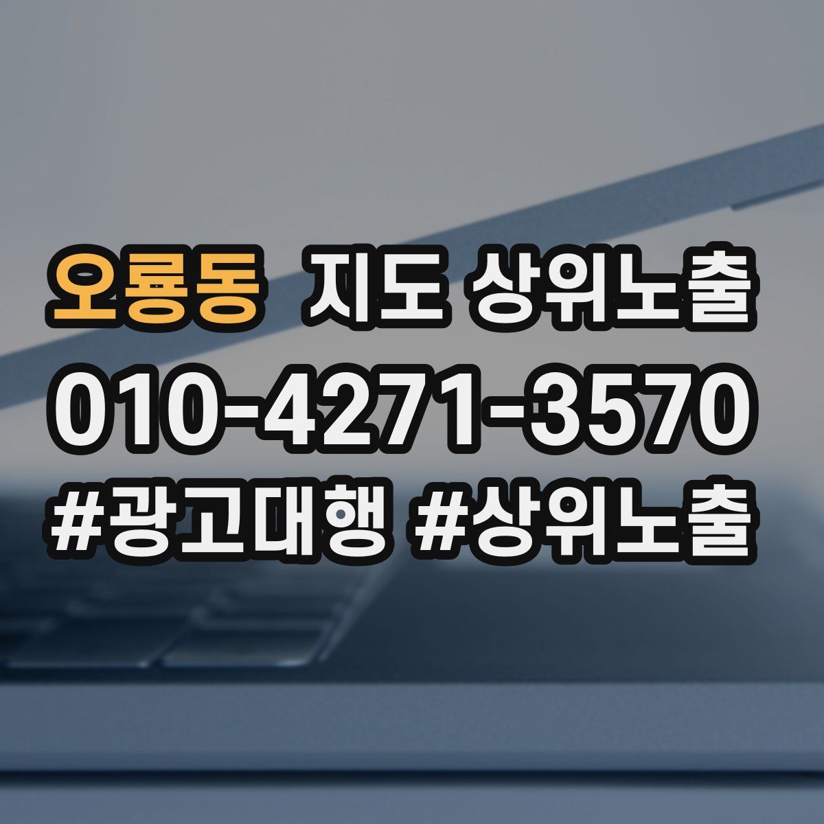오룡동 지도 상위 노출