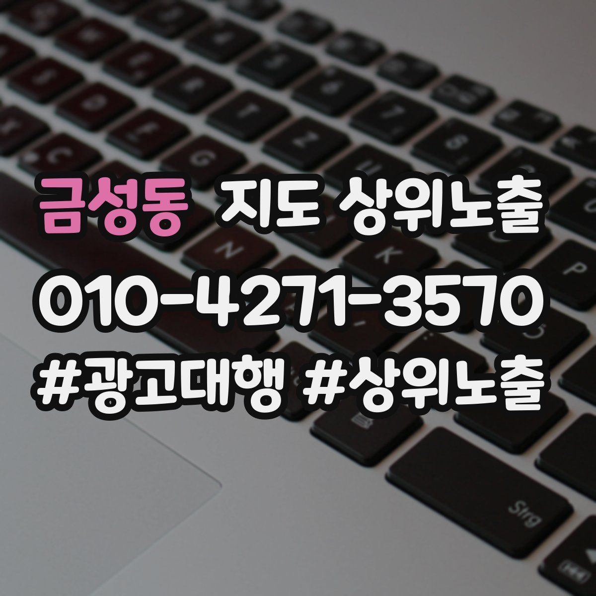 금성동 지도 상위 노출