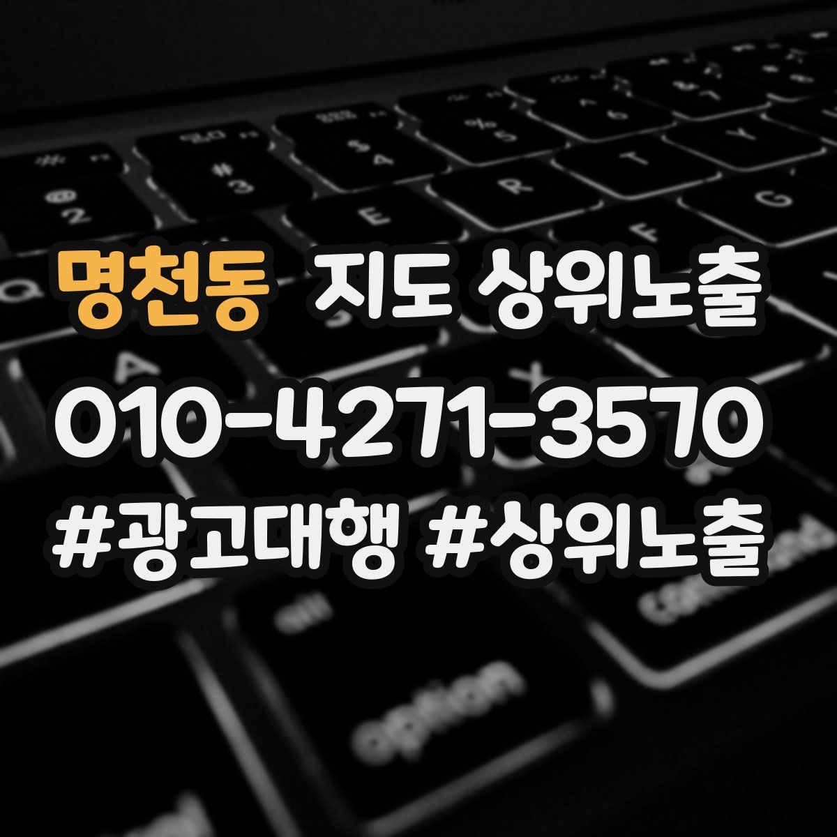 명천동 지도 상위 노출