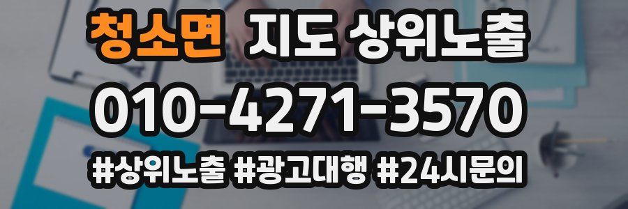 청소면 지도 상위 노출