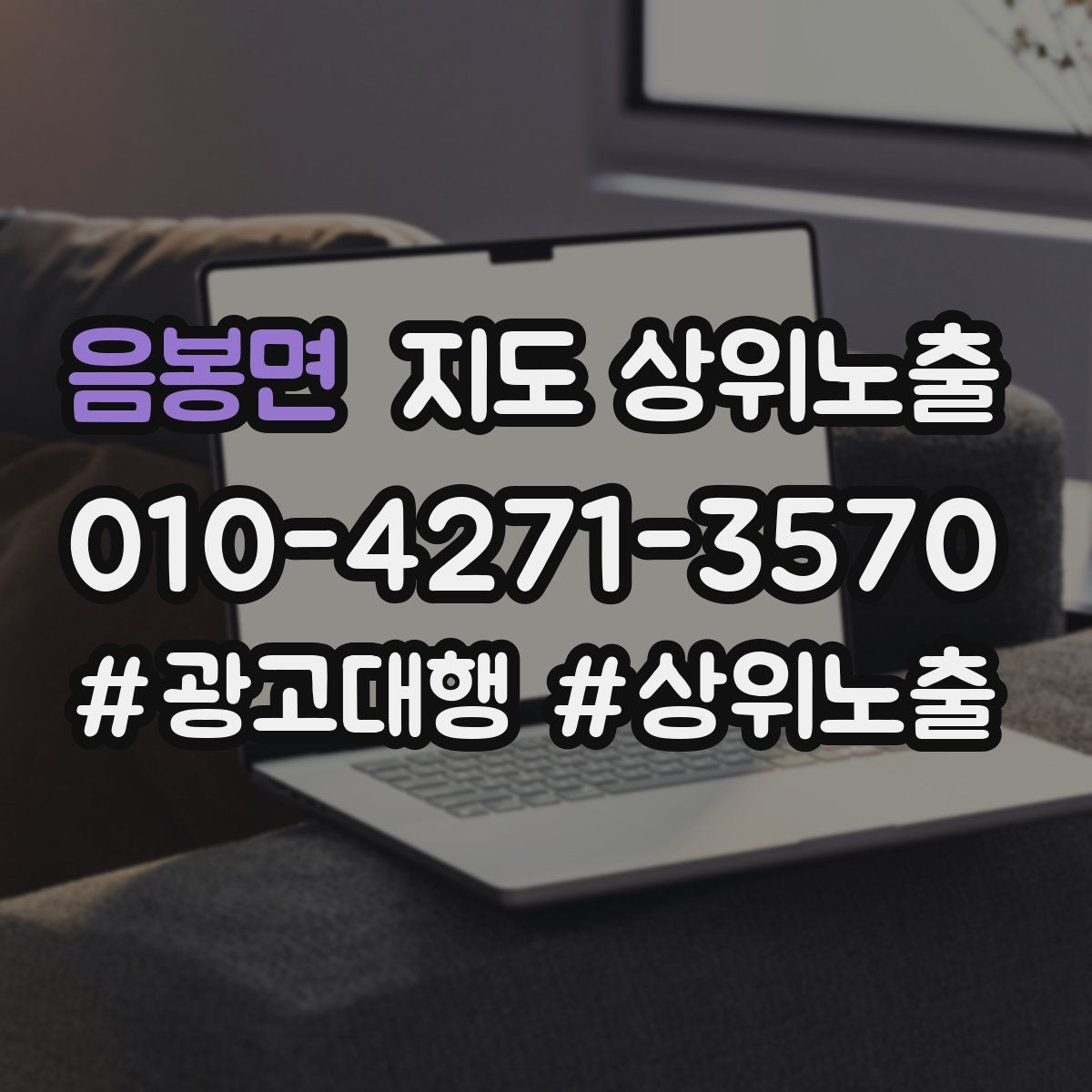 음봉면 지도 상위 노출