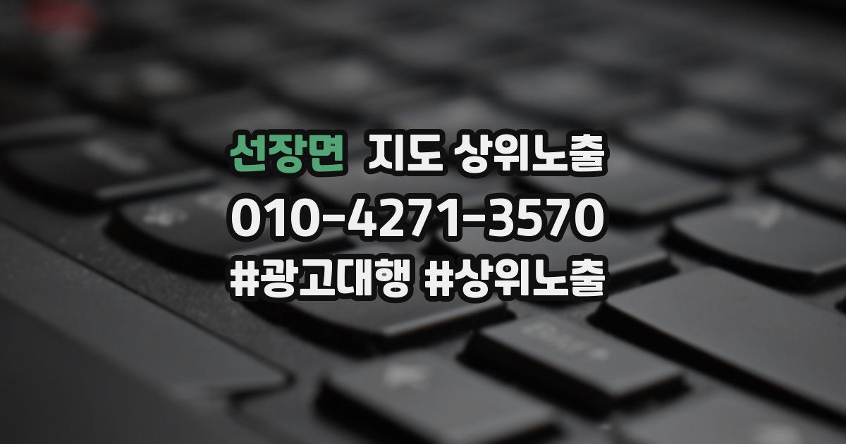 선장면 지도 상위 노출
