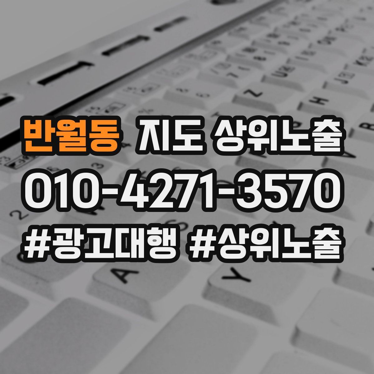 반월동 지도 상위 노출