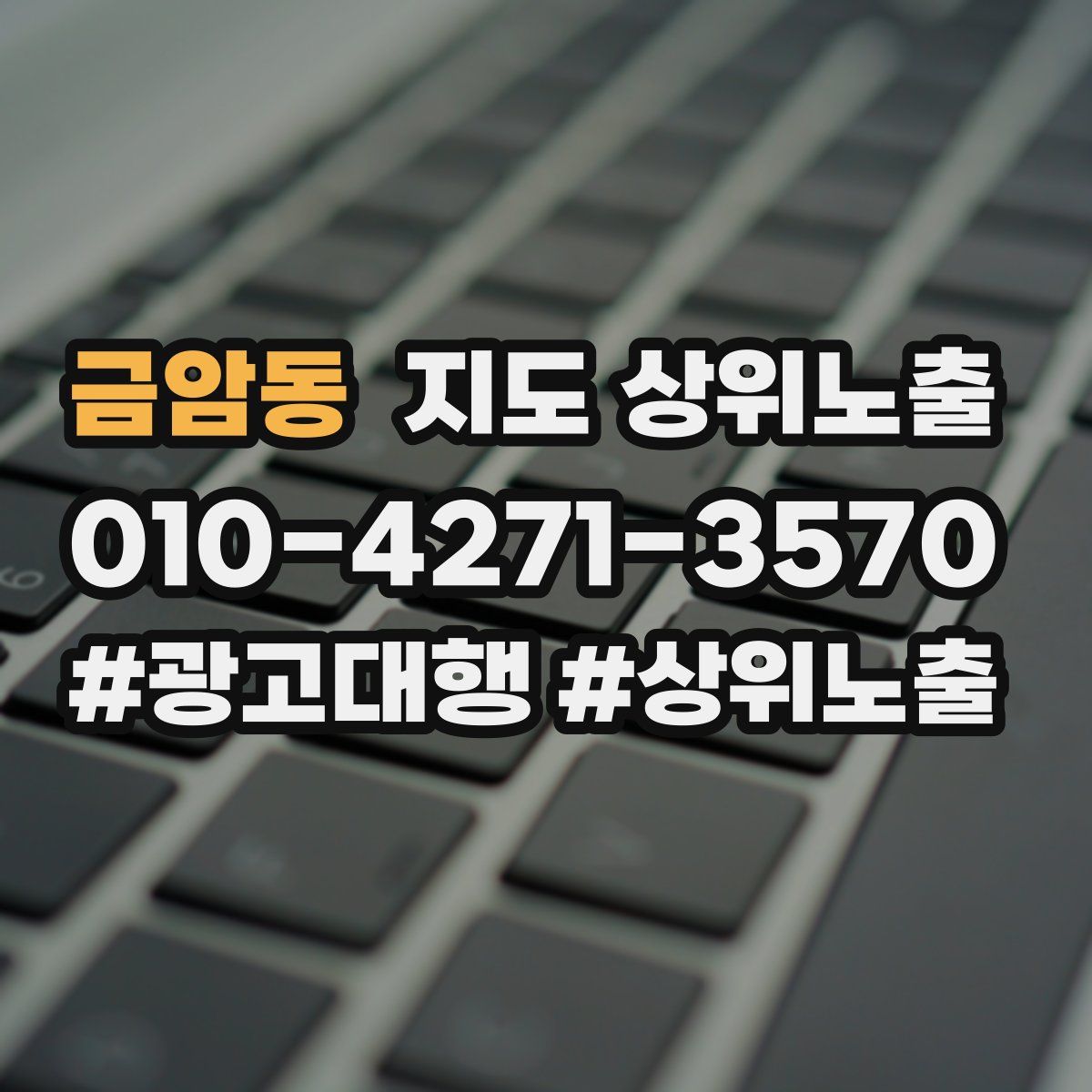 금암동 지도 상위 노출