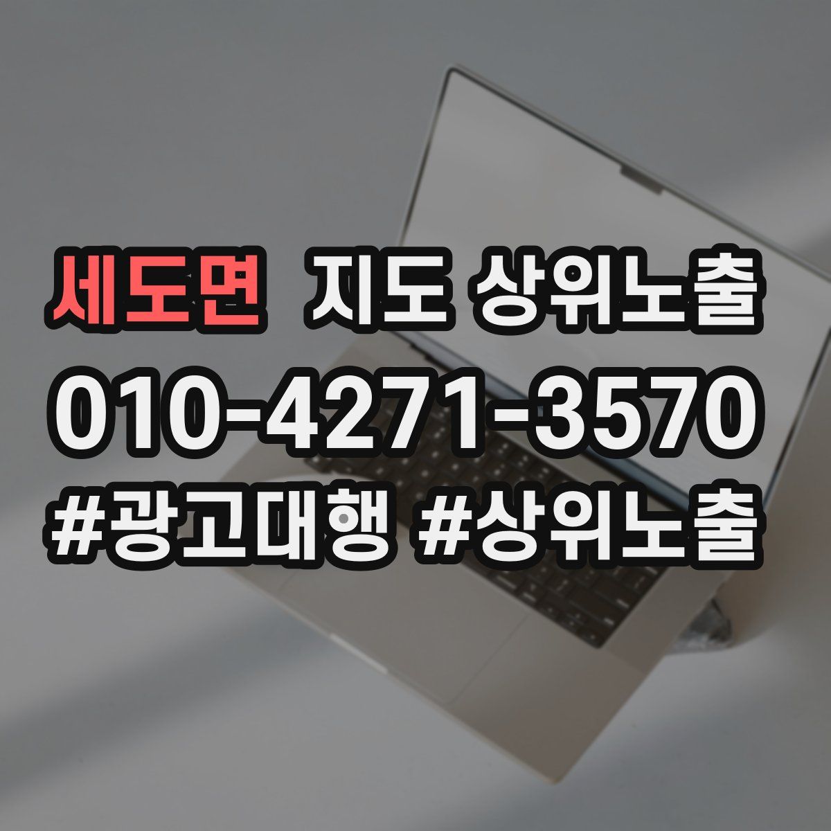 세도면 지도 상위 노출