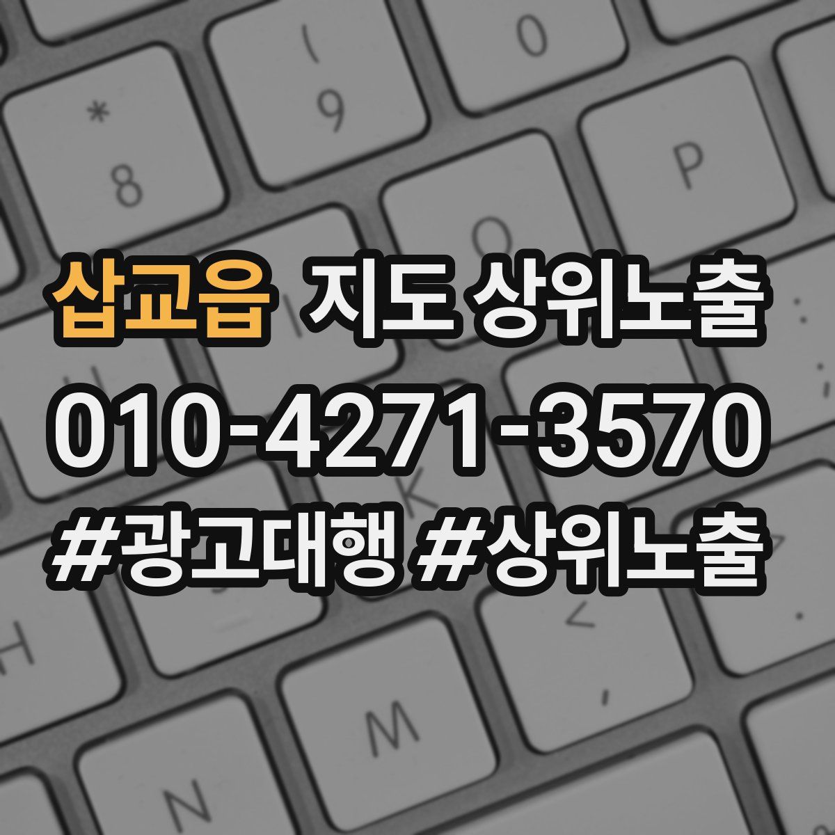 삽교읍 지도 상위 노출