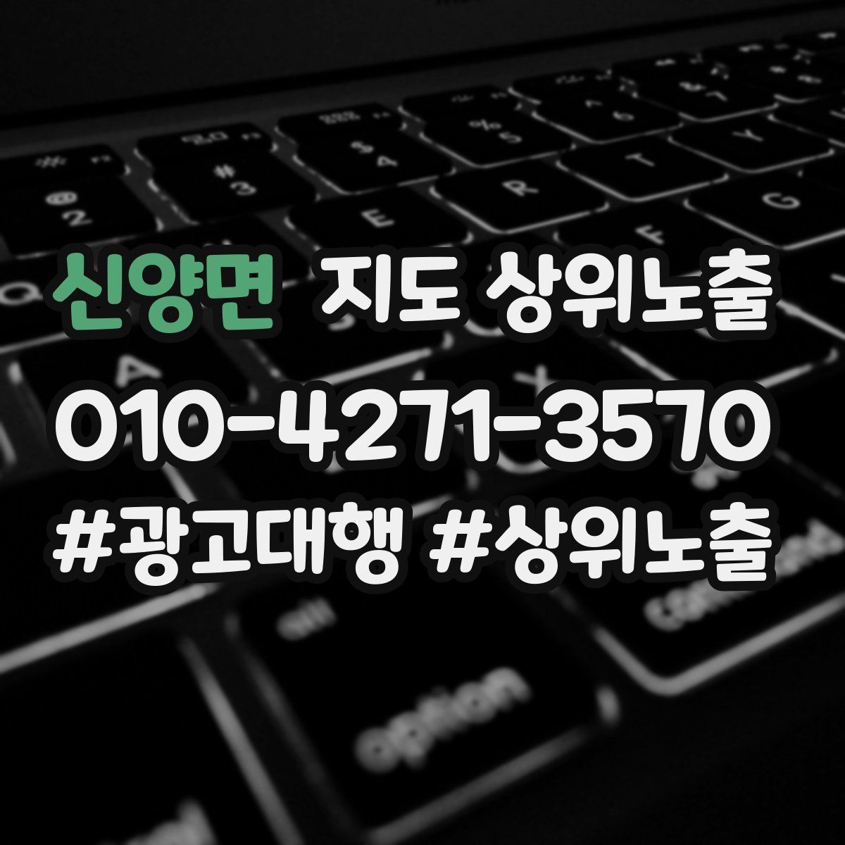 신양면 지도 상위 노출