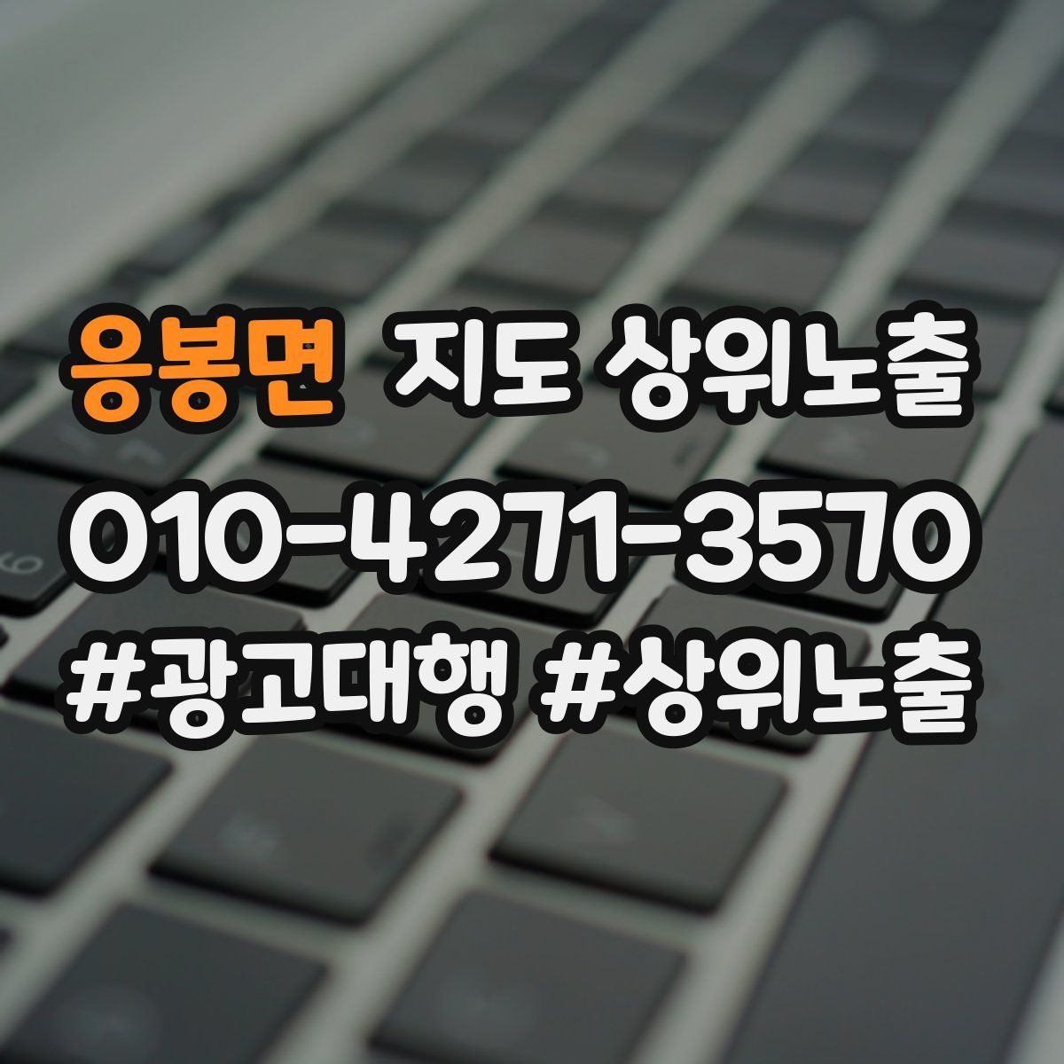 응봉면 지도 상위 노출