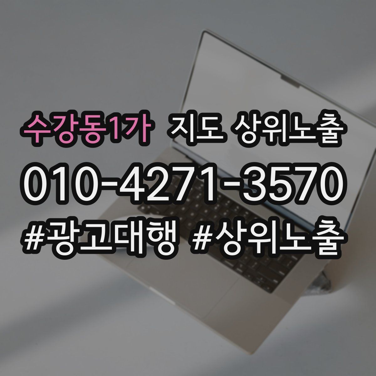 수강동1가 지도 상위 노출