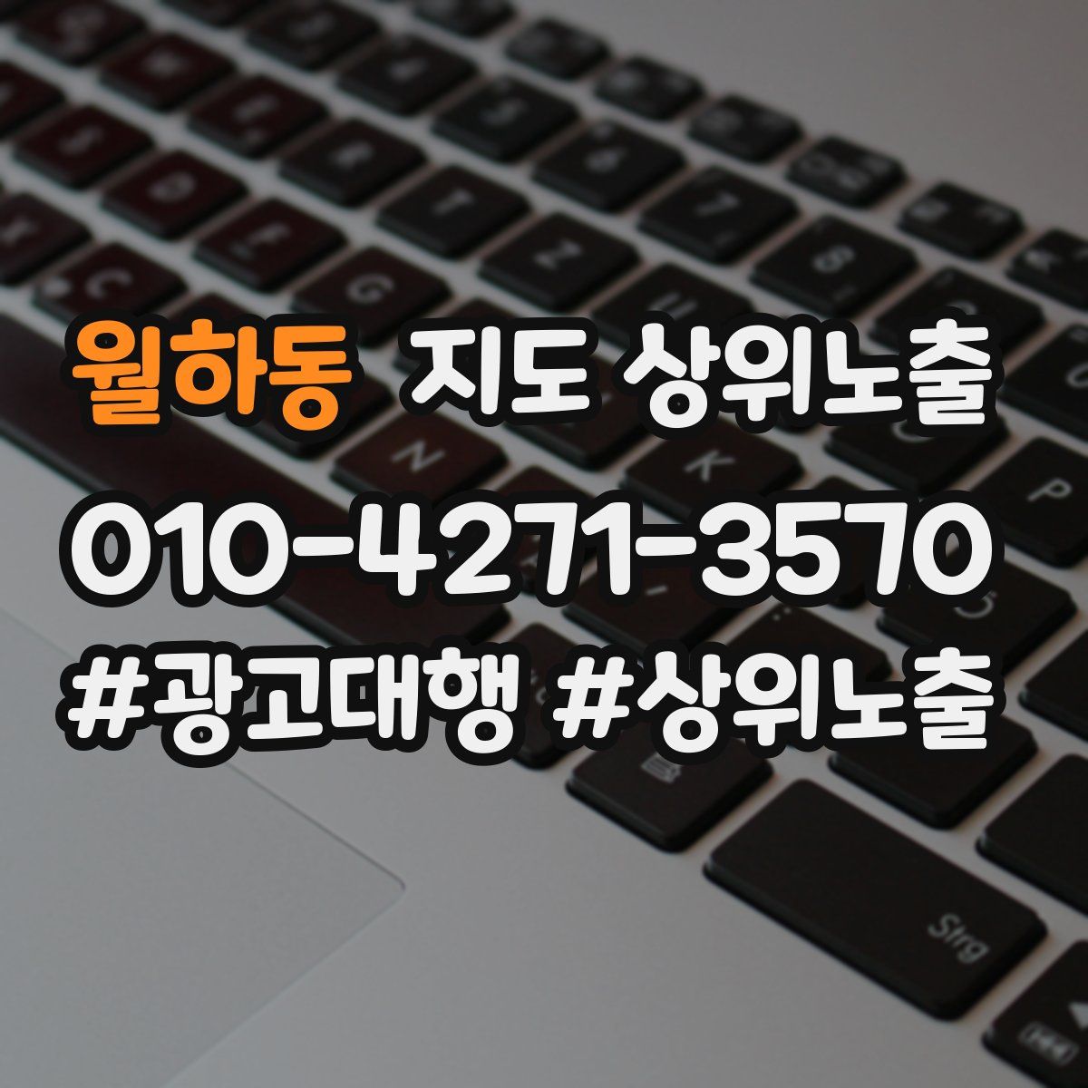 월하동 지도 상위 노출