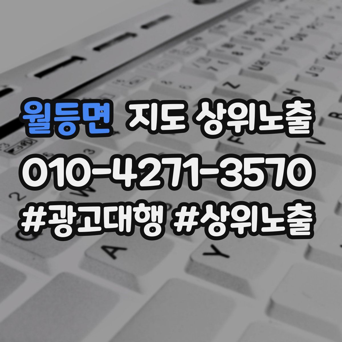월등면 지도 상위 노출