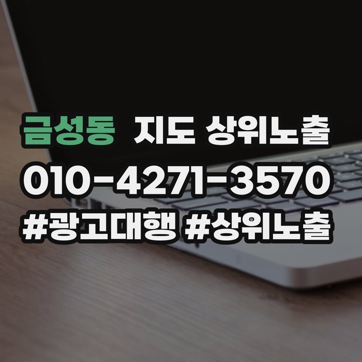 금성동 지도 상위 노출