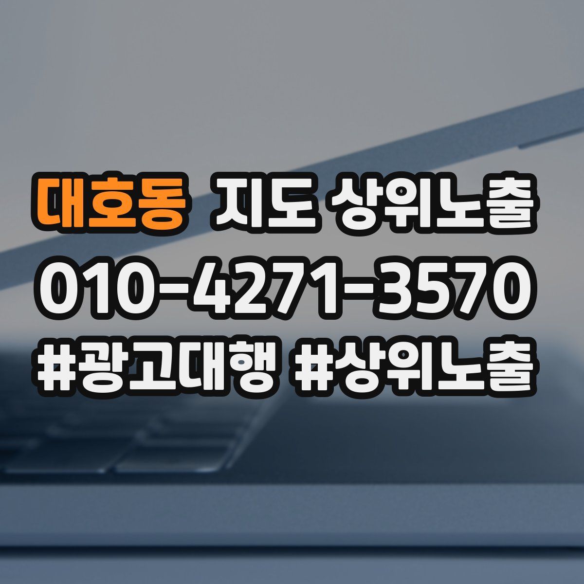대호동 지도 상위 노출