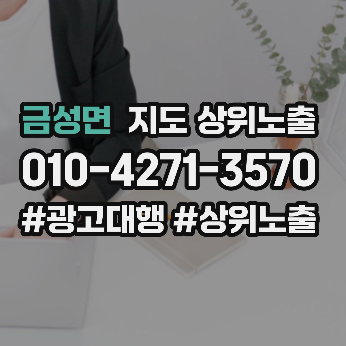 금성면 지도 상위 노출