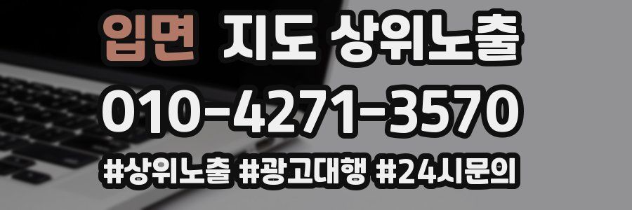 입면 지도 상위 노출