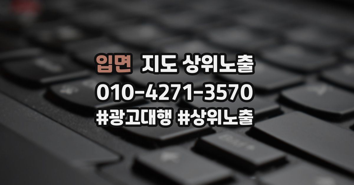 입면 지도 상위 노출