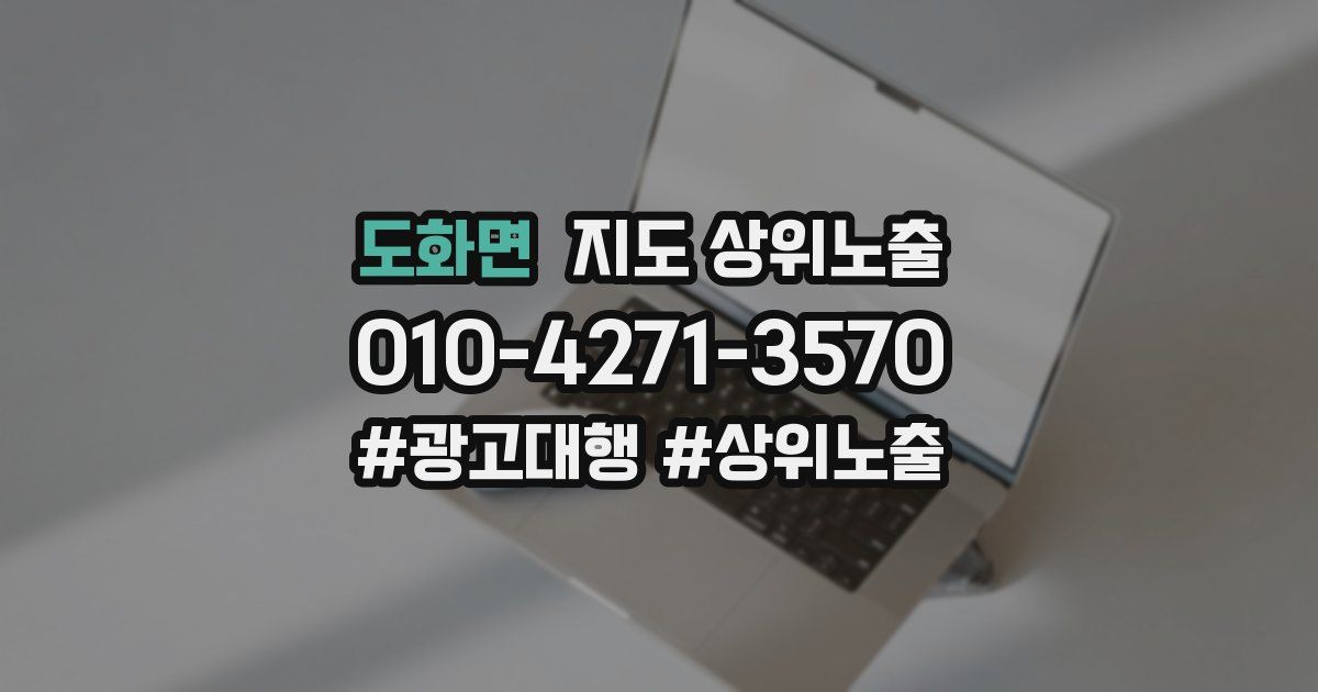 도화면 지도 상위 노출