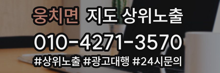 웅치면 지도 상위 노출