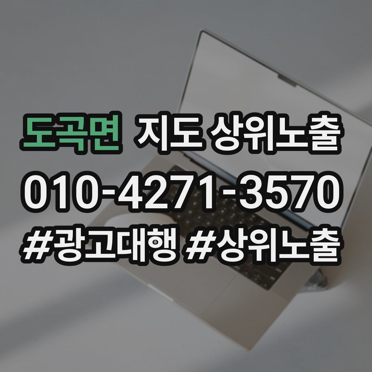 도곡면 지도 상위 노출