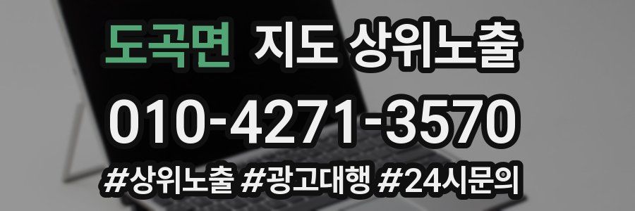 도곡면 지도 상위 노출