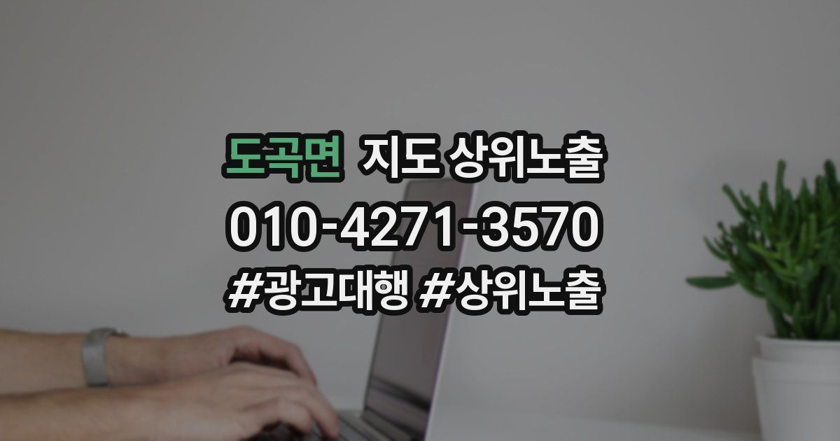 도곡면 지도 상위 노출