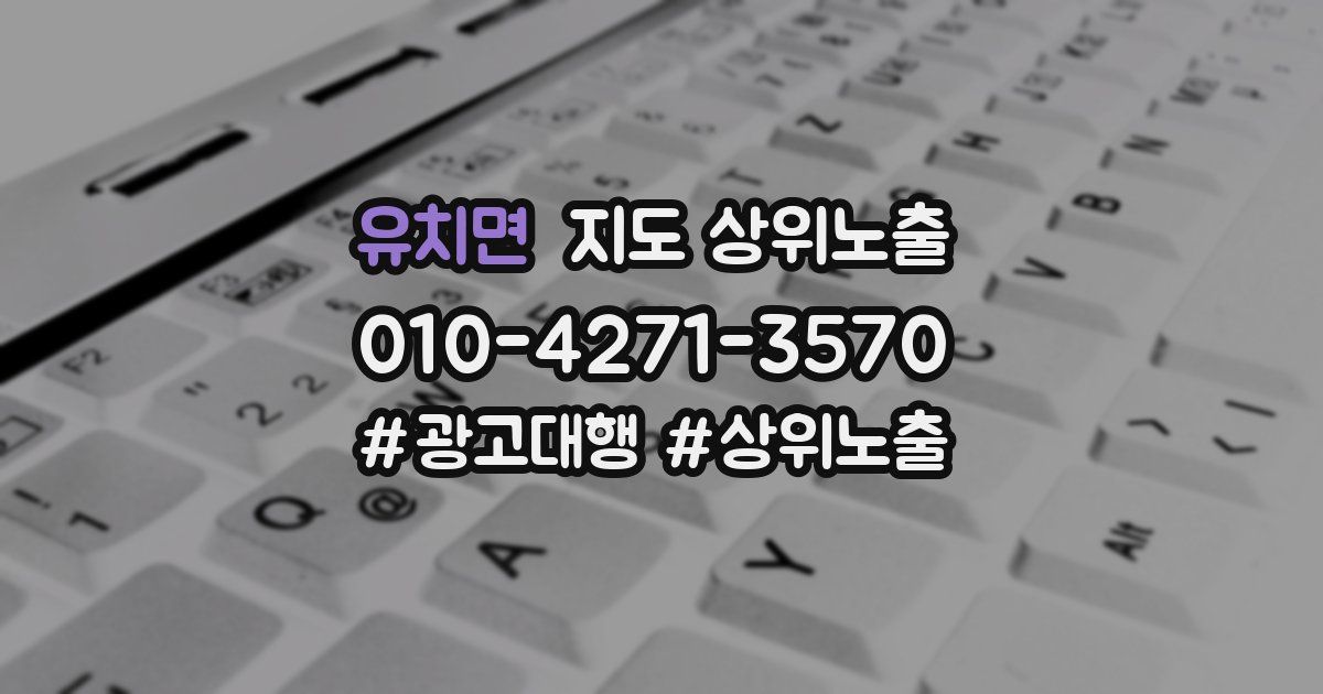 유치면 지도 상위 노출
