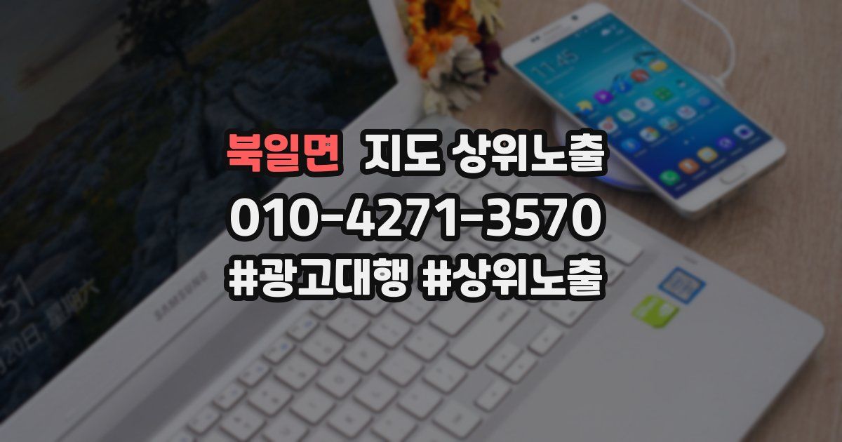 북일면 지도 상위 노출
