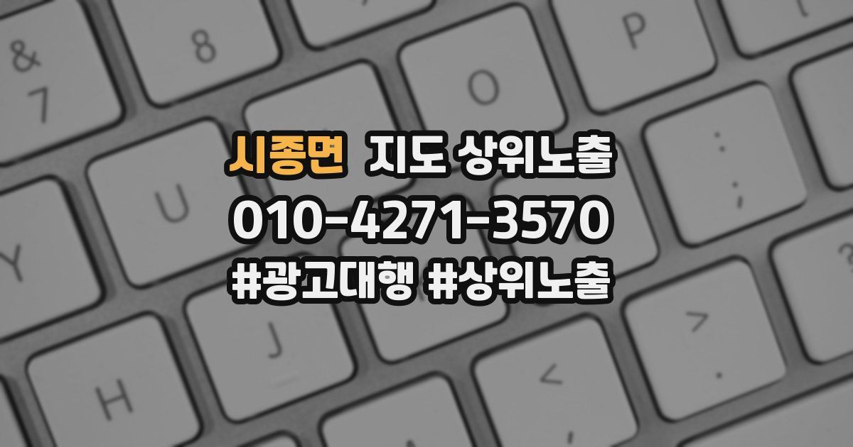 시종면 지도 상위 노출