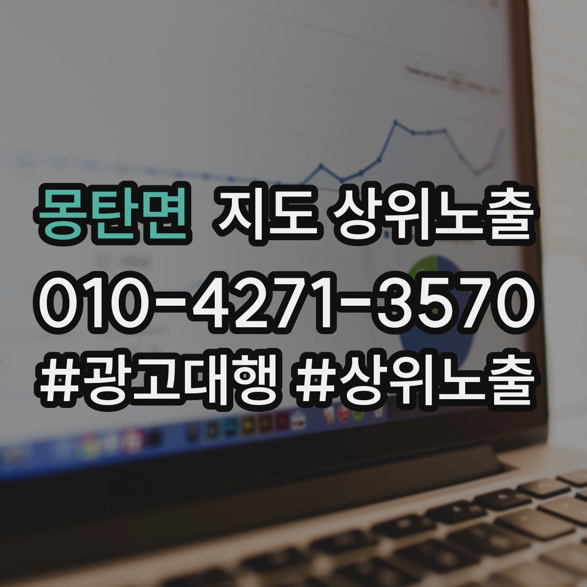 몽탄면 지도 상위 노출