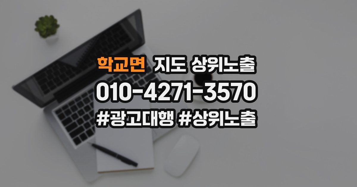 학교면 지도 상위 노출