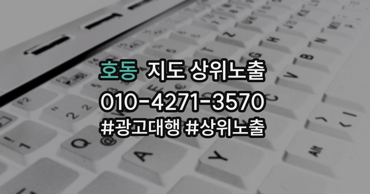 호동 지도 상위 노출