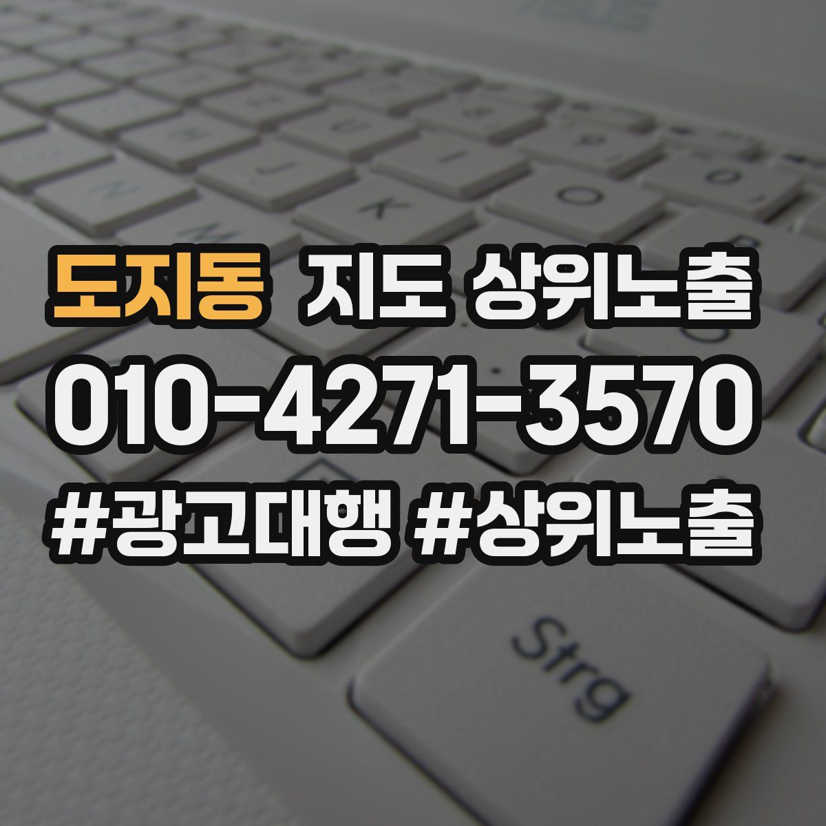 도지동 지도 상위 노출