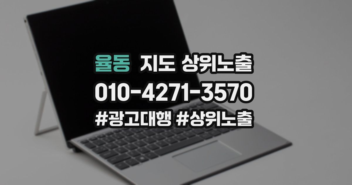 율동 지도 상위 노출
