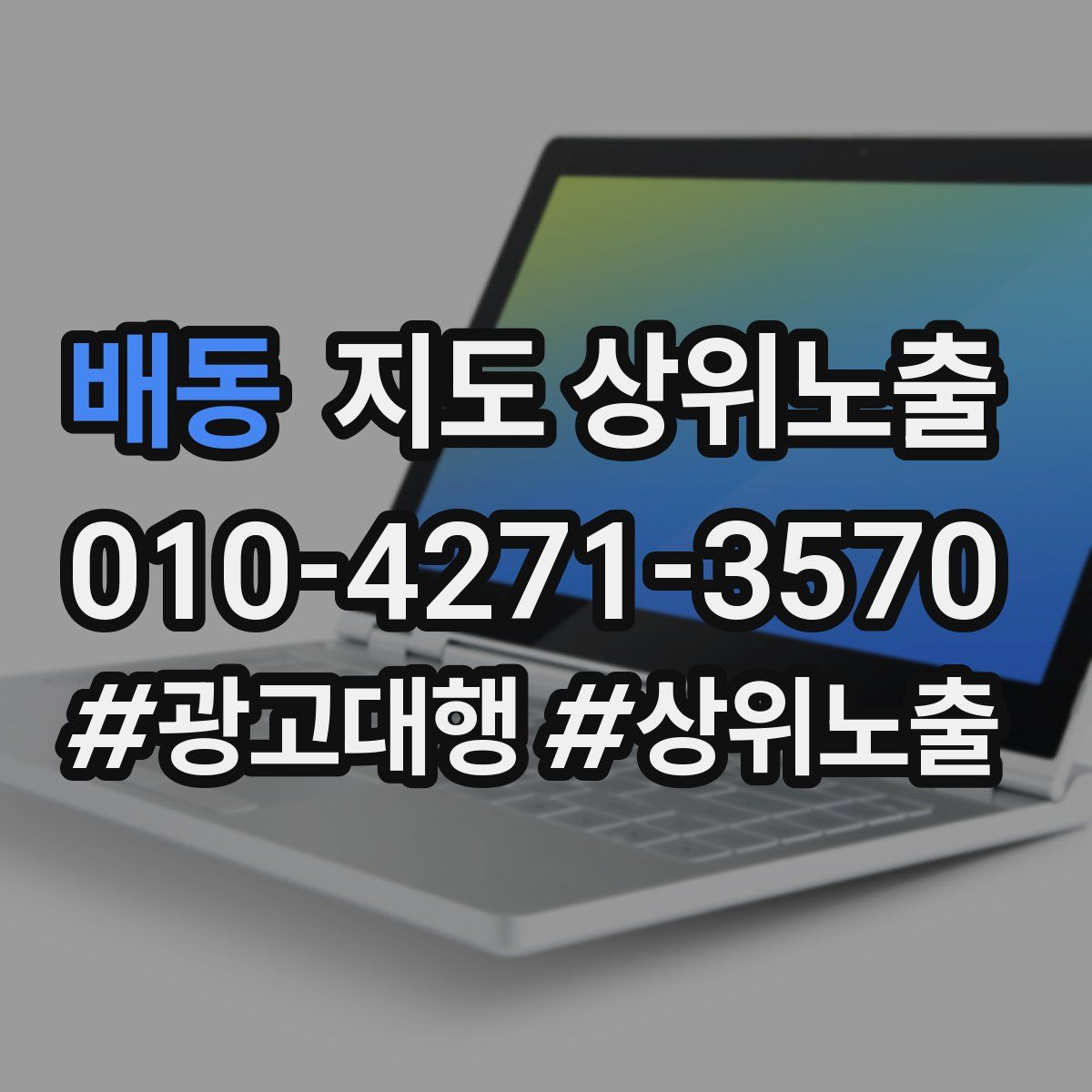 배동 지도 상위 노출