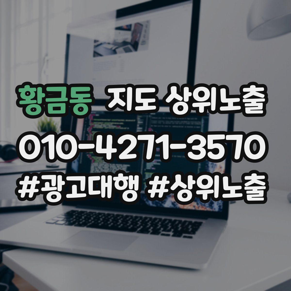 황금동 지도 상위 노출