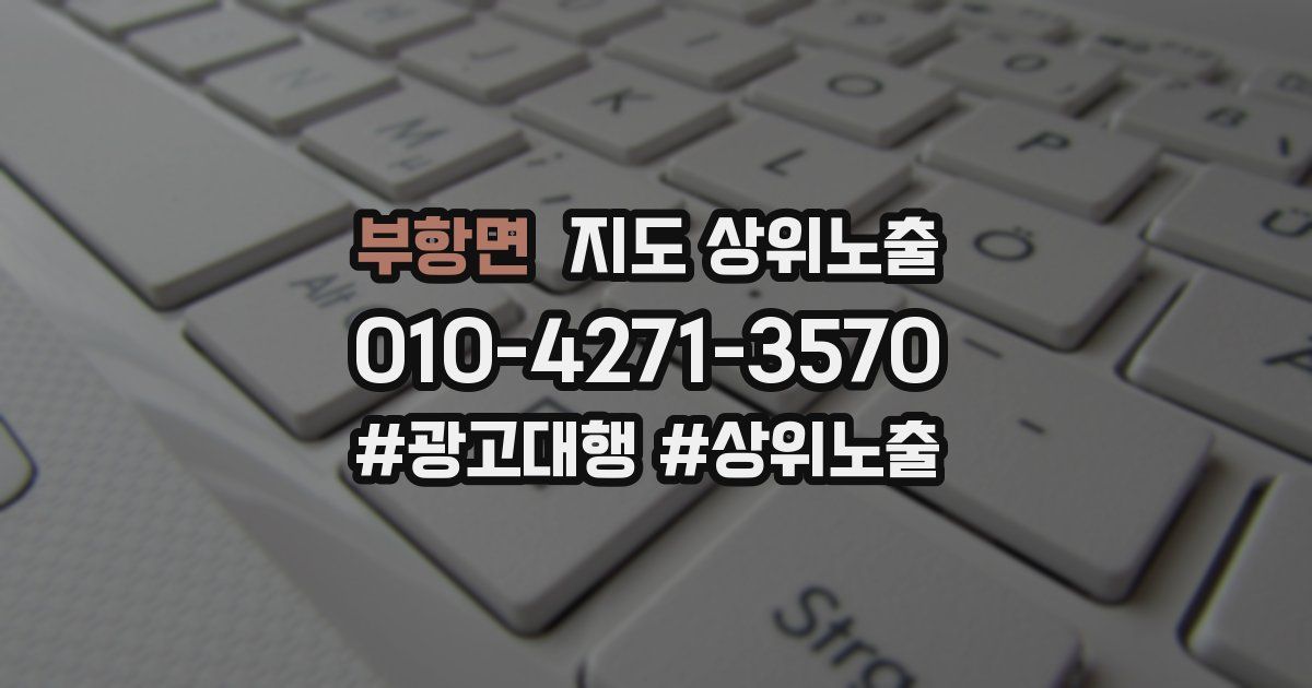 부항면 지도 상위 노출