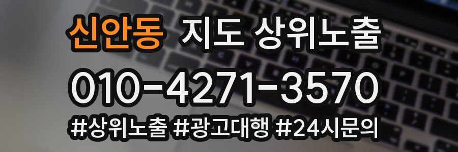 신안동 지도 상위 노출