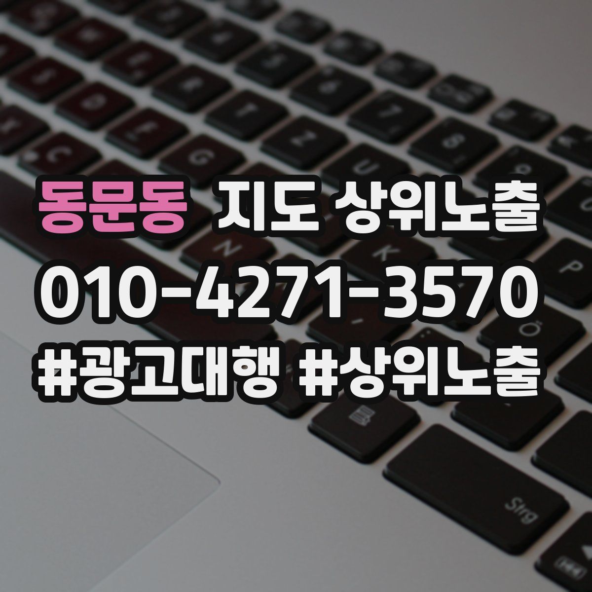동문동 지도 상위 노출