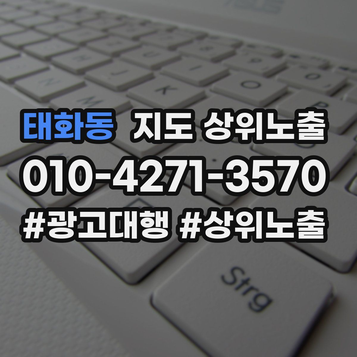 태화동 지도 상위 노출