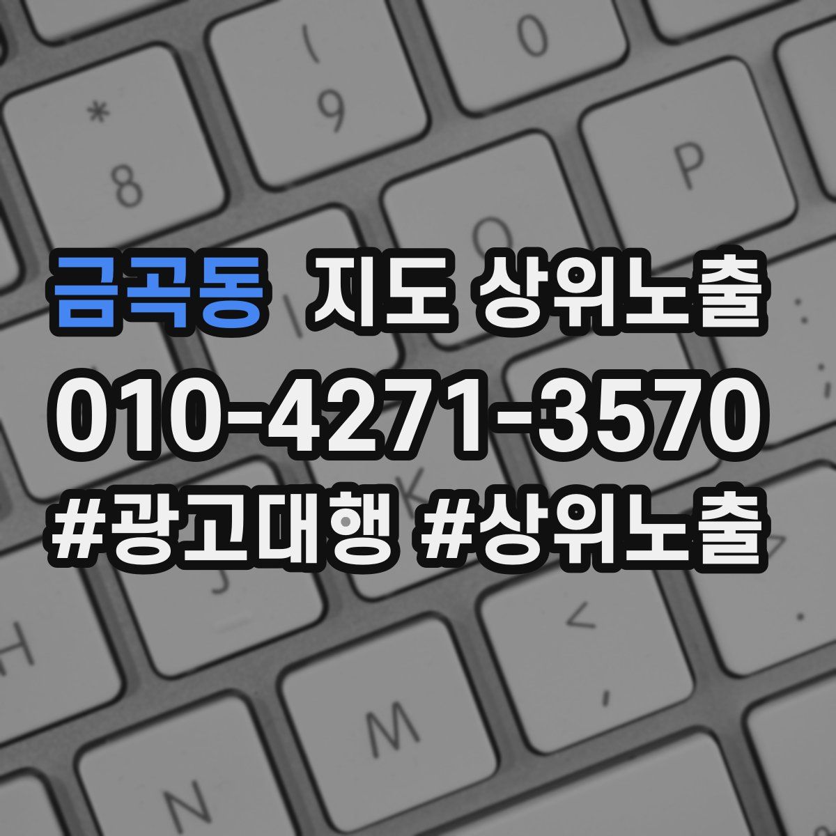 금곡동 지도 상위 노출