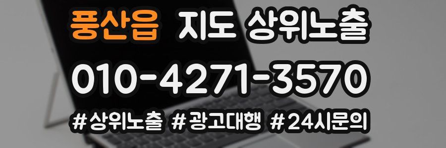 풍산읍 지도 상위 노출