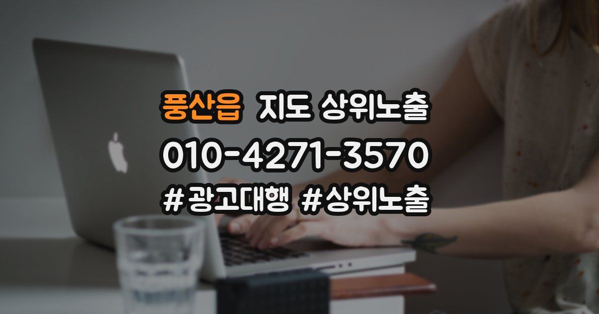 풍산읍 지도 상위 노출