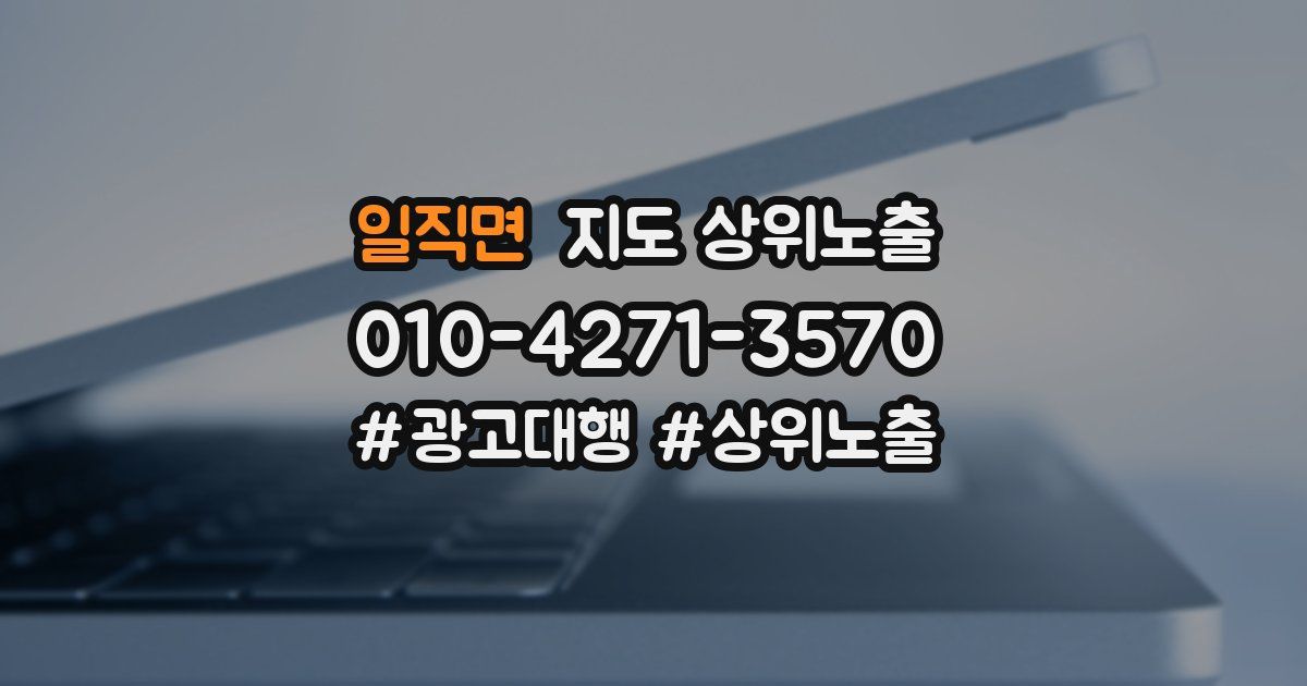 일직면 지도 상위 노출