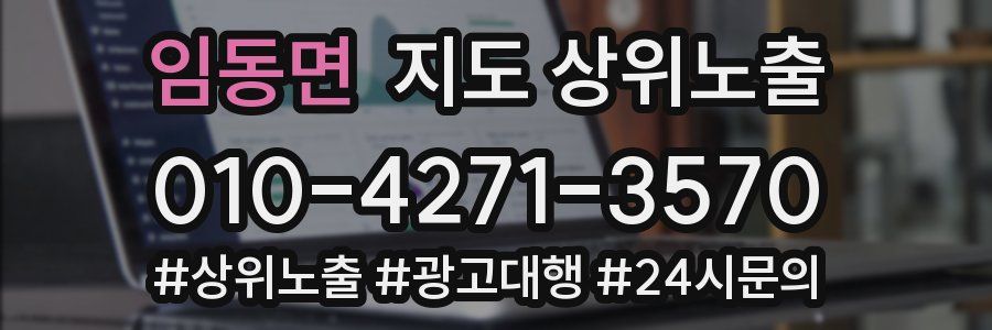 임동면 지도 상위 노출